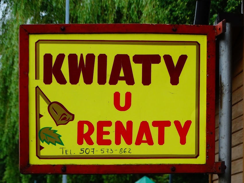 Kwiaty u Renaty