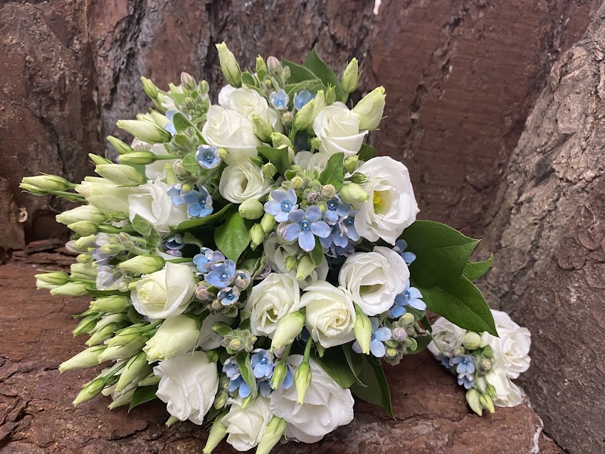 Flores