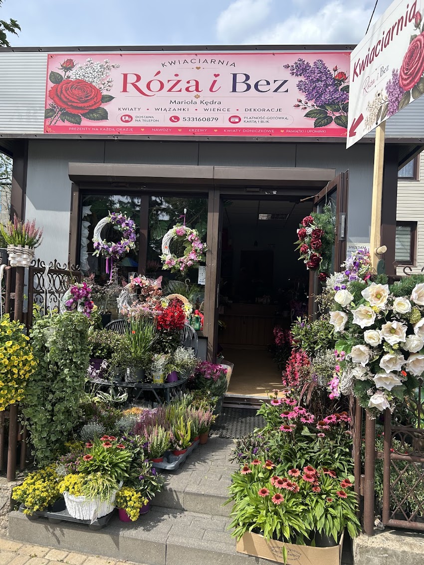 Róża i Bez