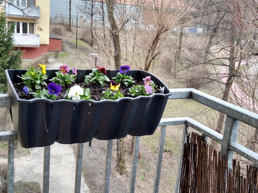 Studio Flora Kamila Sichma