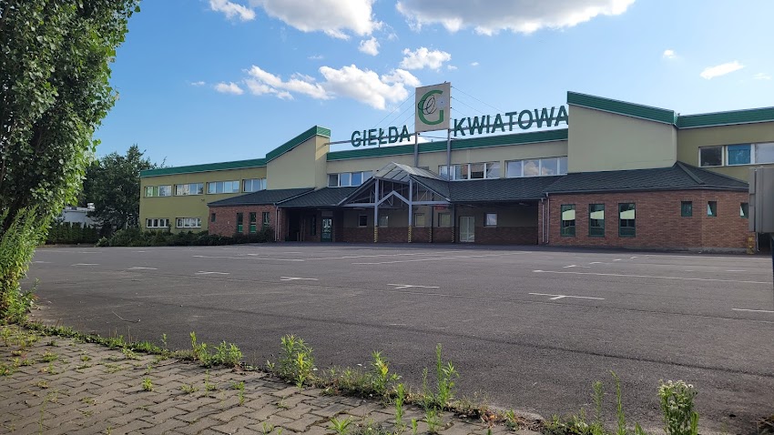 Hurtownia Kwiatów Łódz ,kwiaty cięte doniczkowe bukiety MAWETOS