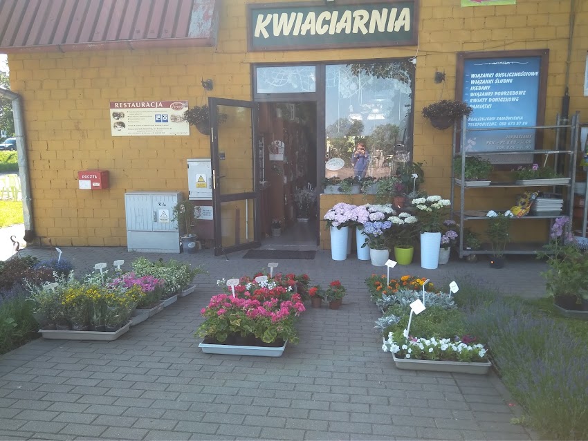 Orzeł Donata. Kwiaciarnia