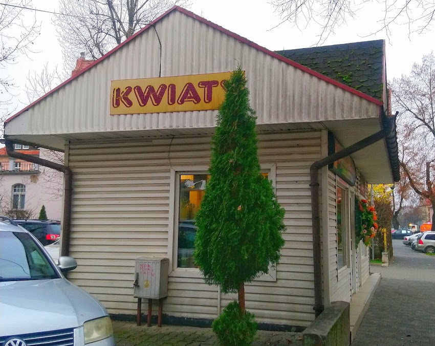 Buza B. Kwiaciarnia