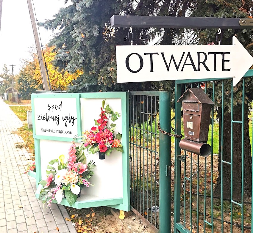 Spod zielonej igły