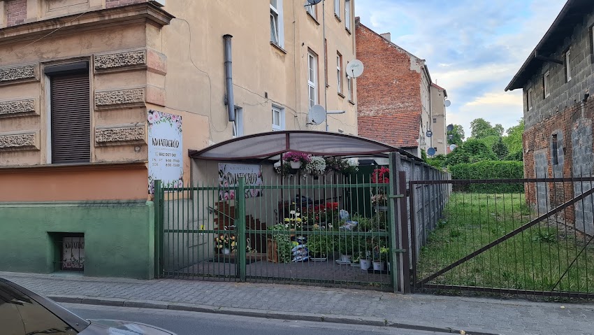 Kwiatogród. Kwiaciarnia. Gilewska T.