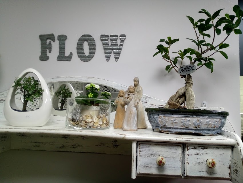 Kwiaciarnia FLOW & FLOWERS