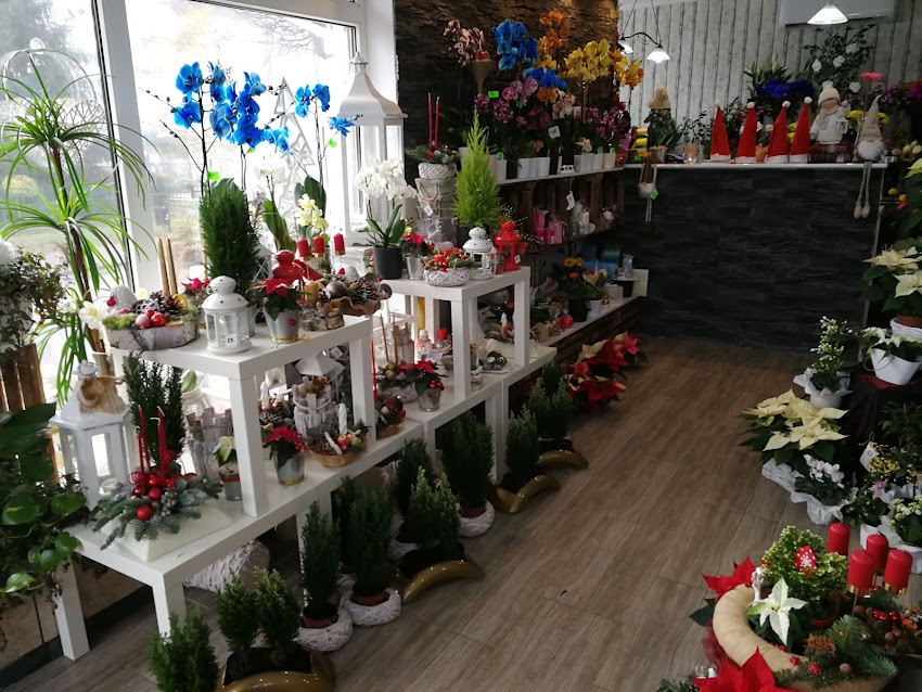 Finezja. Kwiaciarnia. Palikowski M.