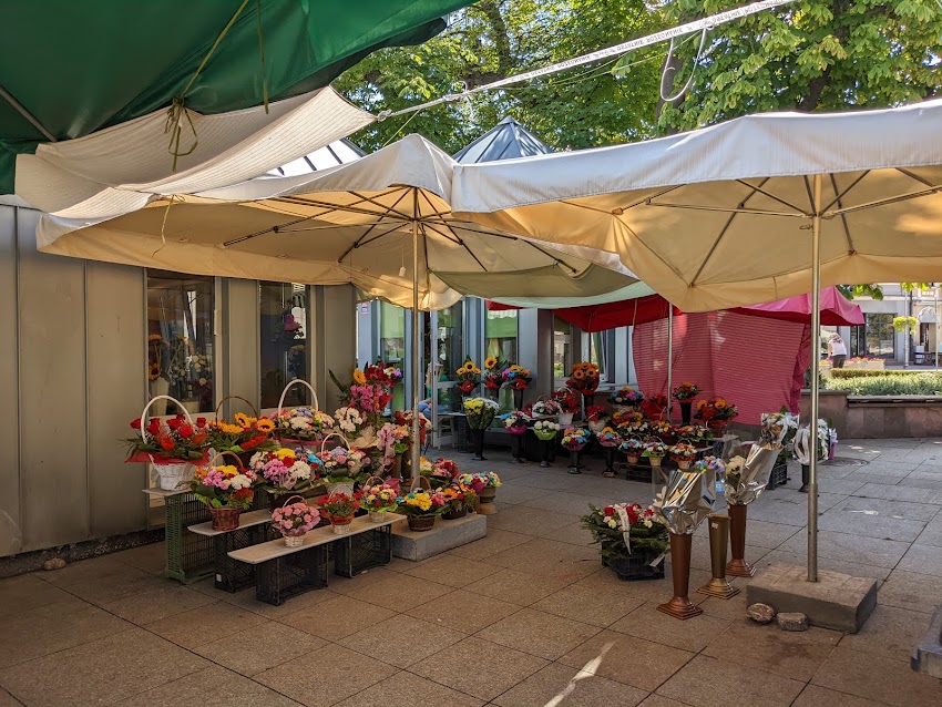 Sprzedaż kwiatów