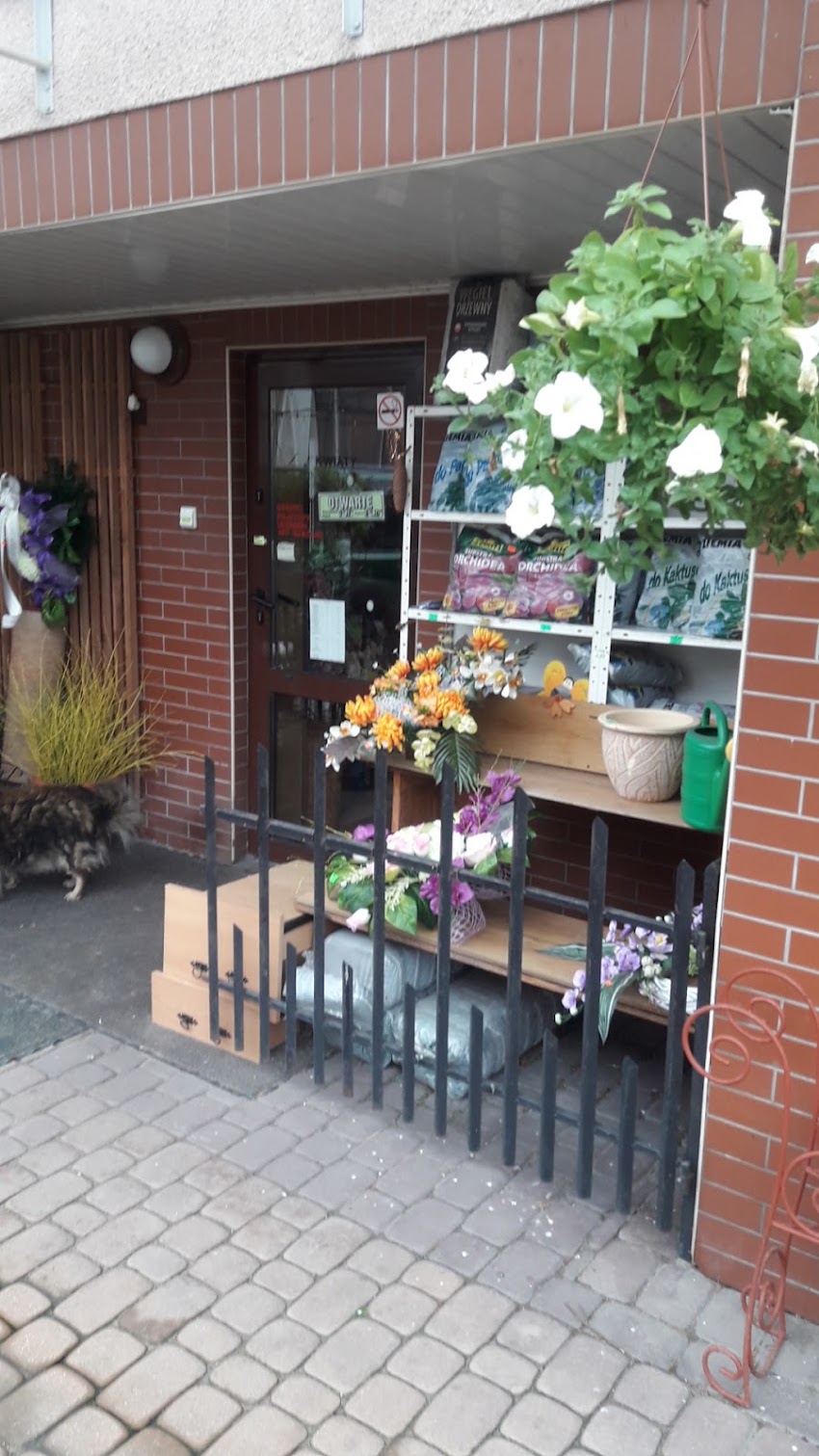 Rębecki Piotr. Kwiaty i art. ogrodnicze